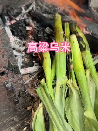 东北高粱乌米