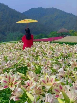 幸福不是什么都拥有,而是想要的恰好在身边。遇见一片花海,沾染一身花香,一路美好,一路芬芳。