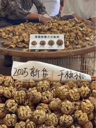 现在正是吃核桃的好时候,你也在吃吗?皮薄肉多,口感好,营养价值高。#优质农产品#原产地直发 #云南老树核桃