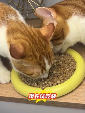 玫斯猫粮真的赞!颗颗都是肉松夹心,营养又酥脆,猫咪嘎嘎爱吃,趁着试吃活动,快囤!这款真的赞!!!#玫斯 #玫斯鲜焙曲奇烘焙粮