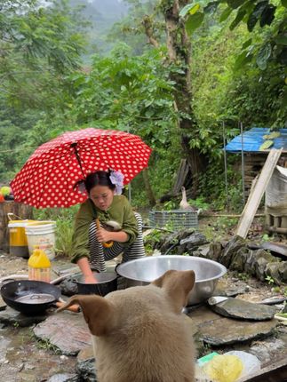 下雨天河水很大很吵。雨滴在铁皮瓦上也很大声