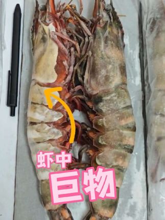 #原创视频 #大连美食 #海鲜美食 #大虾