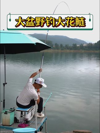 四川人就是好客哦,野钓大鲢鳙和大爷大妈换饭吃#爆护饵料 #户外钓鱼 #野钓巨物 #钓鲢鳙 #钓鱼