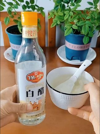 保宁醋白醋480ml瓶装调味品泡制食品凉拌调味四川阆中特产 #保宁酷 #白醋 #调味料