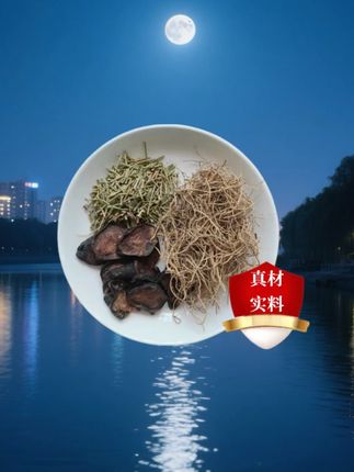 #麻附细辛汤 #袋泡茶