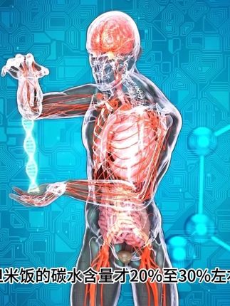 外胚瘦子米糊确实很重要,这款性价比确实高#健身 #瘦子增肌
