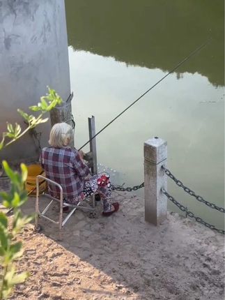 #户外钓鱼 #钓大板鲫 #爆护窝料 #鲫鱼窝料 #爆护就是这么简单