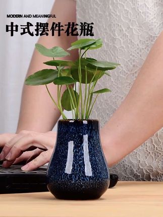 #男士神仙单品 #家居饰品 #养花 #水培植物 #花瓶