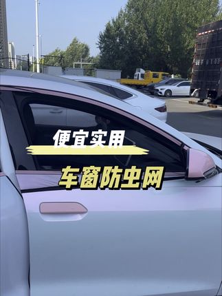 夏季车窗防虫网就很实用!价格也不贵,安装取下都很简单!#车窗防蚊纱窗 #夏季必备 #车载好物