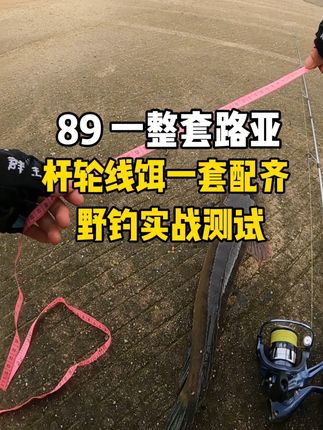 新手装备不知道怎么选?这套澳卡银鲈一步到位,杆轮线饵一套配齐只需 89,适合准备入坑的路亚新手,上鱼一套解决#路亚 #钓鱼 #新手路亚 #原来钓鱼才是抖音运动顶流
