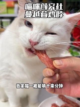 家里猫咪不爱刷牙的,就啃这个酥酥脆脆的蔓越莓鸡脖,磨牙解馋,嘘嘘畅炔#萌宠好物 #养猫经验分享 #新手养猫 @DOU+小助手