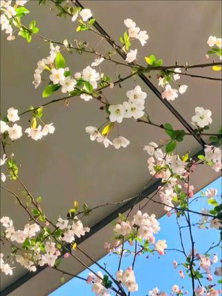 i人本命书籍📚送自己送朋友都会很开心~#书籍 #治愈 #想在天气好时去海边 #分享 #好物推荐🔥