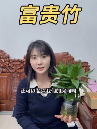 你们都说我给老五的妈妈买的衣服比较好看 我打算这次再给他买一套秋装,你们觉得可以吗?这个富贵竹我妈养的特别好,都好久了,还是很茂盛,放到屋里很好看,关键是价格特别划算。#好物分享🔥 #好物推荐🔥 #富贵竹 #划算 #好看