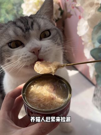 个位数的鸡丝大肉罐!养猫人赶紧来捡漏! #吃货猫 #猫罐头 #萌宠好物