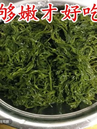 划算5斤/箱新鲜盐渍马尾藻龙须菜海藻长寿菜鞭炮笋凉拌鲜嫩营养#绿色蔬菜 #健康生活 #好吃的家常菜