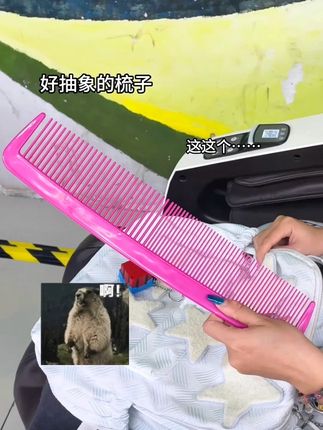 诡秘说给我买了个梳子#大帅哥#梳子#玩个很新的东西#搞笑