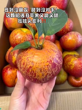 昭通丑苹果,别看皮上有点“小雀斑”,咬一口全是糖心甜!日照足,温差大,自然长熟不催熟。丑是丑了点,但果肉脆嫩,汁水多到飙,甜得实实在在。咱吃的是味道,不是颜值。昭通丑苹果,丑得有道理,甜得够地道!#丑苹果#又脆又甜#新鲜鲜应季水果#口感特别好#现摘现发新鲜到家