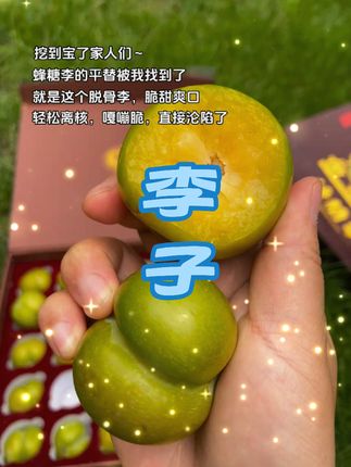脱骨李子