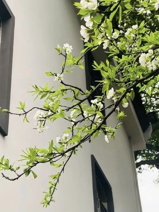我滴妈呀!这个价就到手20大包巨无霸抽纸,真的太划算了#巨无霸抽纸 #抽纸推荐 #抽纸