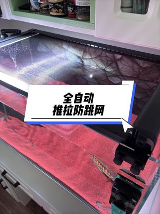 有了这个全自动鱼缸防跳网,再也不用担心鱼跳缸了,好看又不贵还支持定制尺寸#全自动防跳网 #观赏鱼 #鱼缸防跳网 #养鱼 #溪流缸