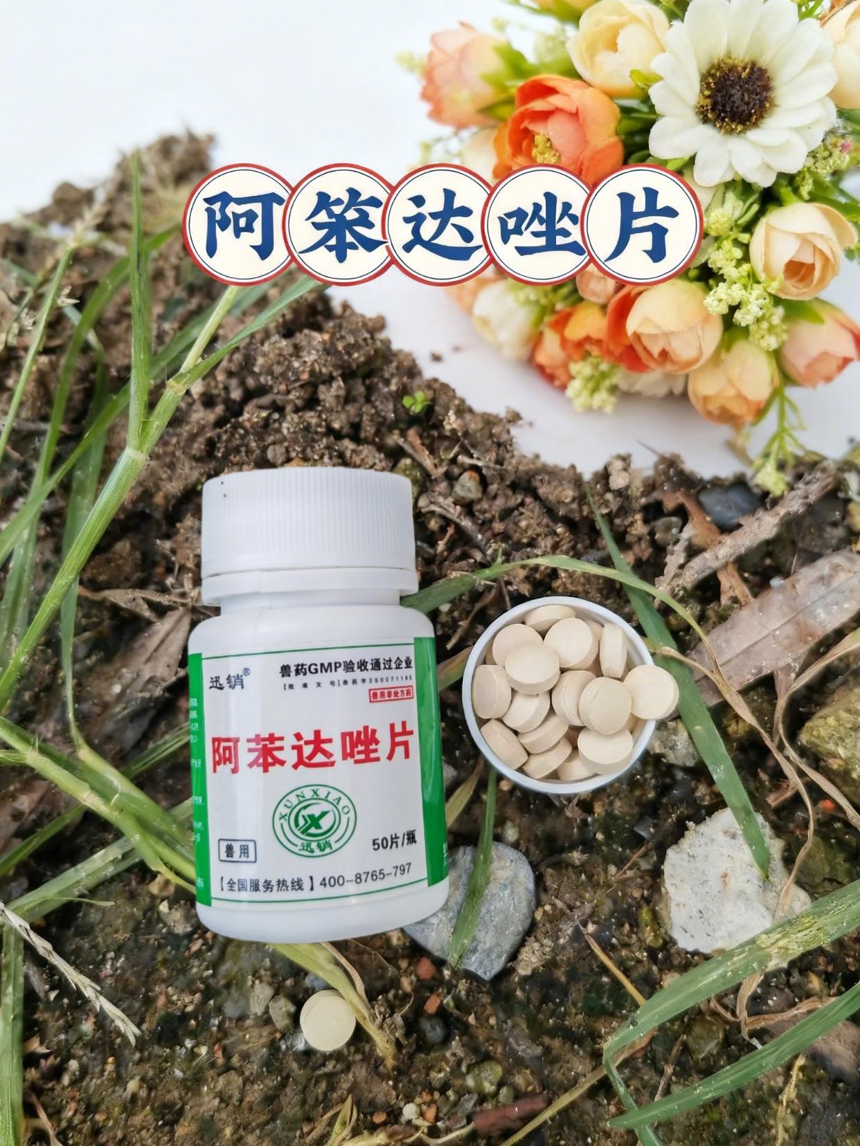 #驱虫 #养猫经验分享 #养狗经验分享 #新手养狗 #科学养宠