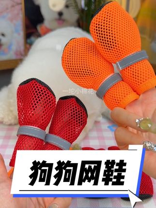 夏季遛狗一定要穿鞋,地面温度高容易烫伤狗狗脚垫#养宠装备#狗狗护理#狗狗鞋子#在抖音入手的好东西 #无限回购的宝藏单品