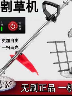 #好物推荐 德国进口无刷10寸锂电电动割草机打草多功能大功率除草机神器充电#德国进口锂电割草机 #充电锂电割草机 #大功率割草机