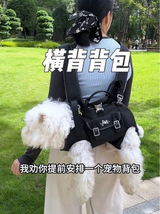 出去玩带上这个背包太方便了!横背更符合狗体工程,而且质量颜值都特别好,回头率还超高~#萌宠好物 #宠物用品 #带狗旅行