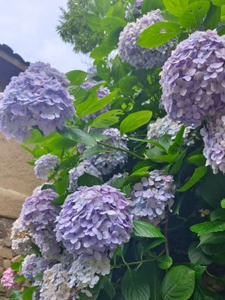 西游记拍摄过程中那些无法解释的现象!#玄学#财库#西游记 #老祖宗的智慧