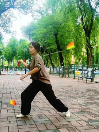 不喜欢单鞭就玩双鞭#九节鞭双鞭
