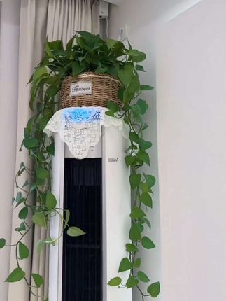 人靠衣装,花靠盆装,手工编织,里面有隔水膜,固定支撑不易变形、这个草编花篮真的太温馨了#软装搭配手工编织花盆#花篮#草编花篮#手工编织花盘#花盆摆件