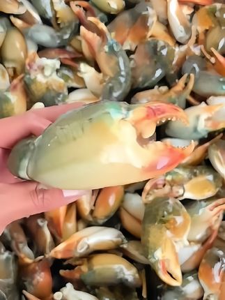 新鲜青蟹腿特大蟹钳鳌大肉多海鲜水产活蟹冷冻青蟹脚野生现掰蟹肉#野生海捕 #青蟹腿#小号中号大号都有 #肉质肥美 #快来一起尝个鲜