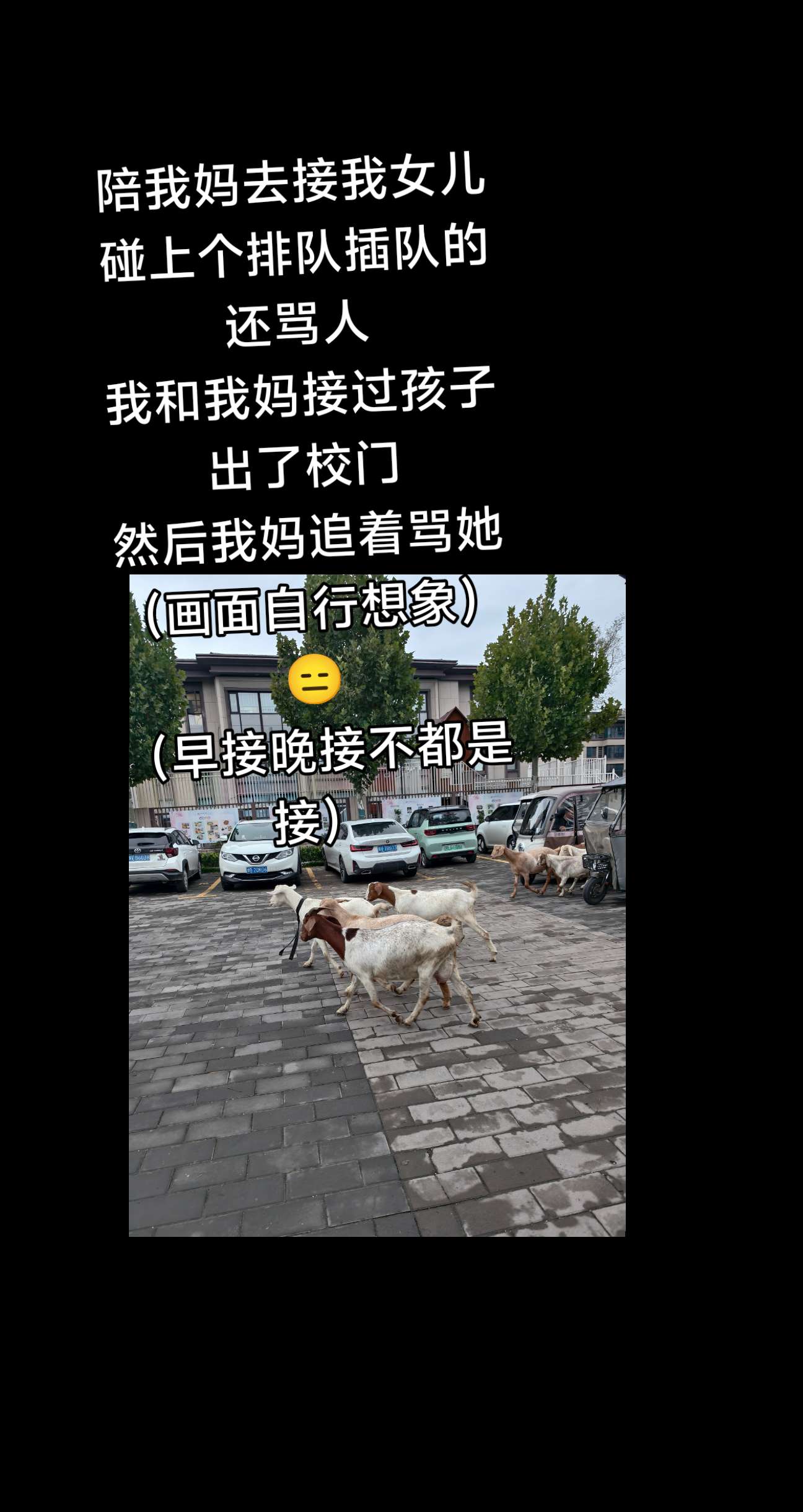 就接个孩子,最多三分钟一个班就接完了,还光明正大插队,选个看起来好欺负的插队, 😉谁知道是最厉害的(我说的是我妈吵架最厉害的),接完孩子出来追着她骂,(她小声的回骂)你说这一个班多尴尬#接孩子放学现场 #插队