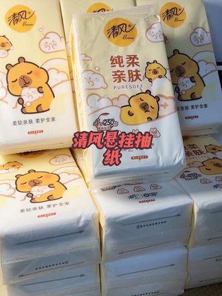 清风大品牌也来卷了,还是卡皮八拉联名款,到手十提,质量嘎嘎好,闭眼入。#清风悬挂式抽纸 #清风#清风抽纸推荐 #母婴推荐#好物分享