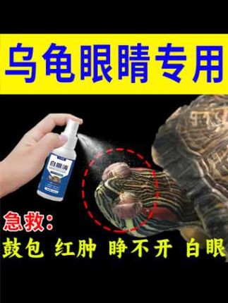 ☞ 转发 |#张予曦毕雯珺真拍了红裙抱 #深情眼 #张予曦 #毕雯珺#乌龟