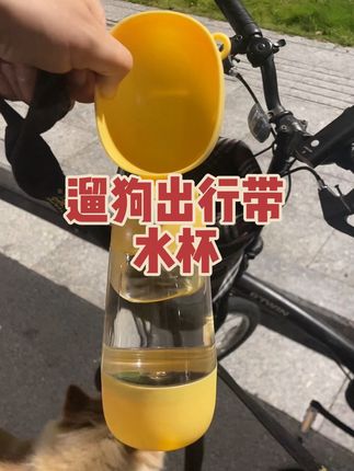 出门遛狗,带上随行水杯,狗狗中途喝水方便? #萌宠 #狗狗 #养狗日常 #养狗经验分享 #家有宠物
