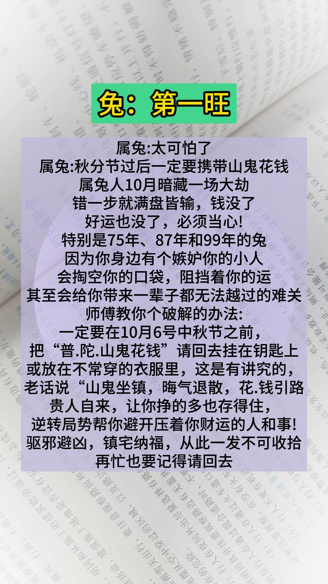 #兔 #属兔 #生肖兔