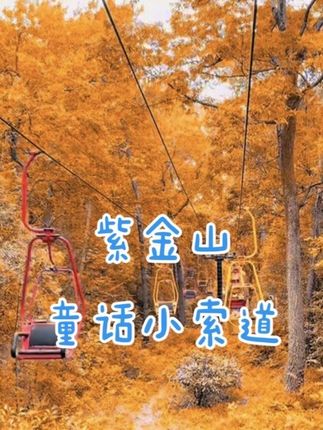 南京的秋日浪漫,怎么能少得了紫金山童话小索道 #南京 #紫金山探险公园 #南京秋天的童话小索道 #看看你城市的入秋进度