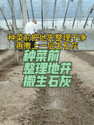 #创作灵感 种菜前把地先整理干净,再撒上一层#生石灰 没蟲还补钙#种菜 #种植小技巧 #三农流量扶持计划@抖加🔥上热门🔥dou+🔥热点宝 @抖音热点 @抖音创作小助手