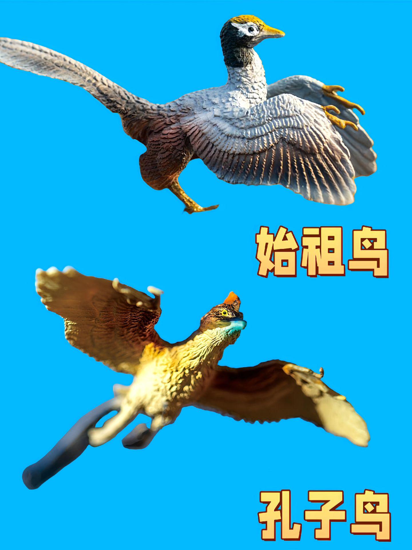 #恐龙 #神奇动物在抖音 #每天跟我涨知识 #鸟类视频 #上热门