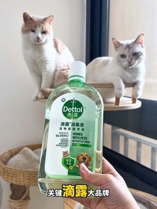 养宠物定期消毒是对猫咪负责,直接选滴露大品牌用着安心又放心#养猫新手 #滴露宠物消毒液