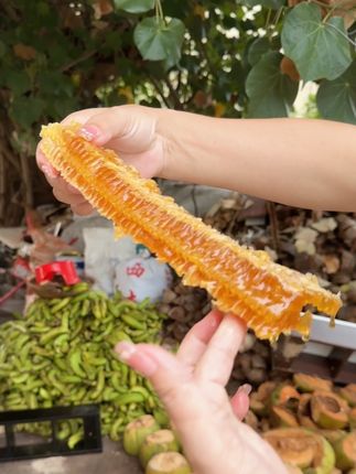 #蜂蜜#农家土蜂蜜#蜂巢蜜#蜂蜜水#土蜂蜜 农村自家散养的蜂蜜