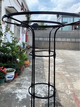 爬藤植物可以用这种#伞形花架 来做造型,开满花的时候就是漂亮。#双圈伞形爬藤花架 #爬藤植物 #园艺