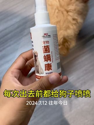用它让蜱虫远离自家的爱宠#真菌螨虫、皮肤感染、猫癣狗癣#猫狗通用#萌宠#萌宠好物