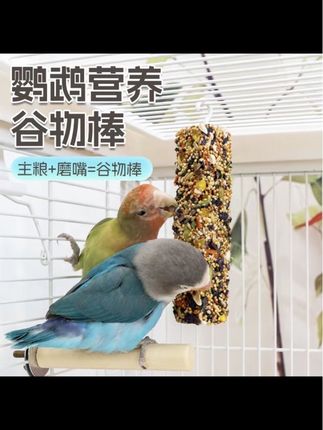 #记录生活 鹦鹉#鹦鹉鹦鹉萌萌哒逗鹦鹉 #鸟类 #爱鸟护鸟 #爱鸟护鸟是人类的美德