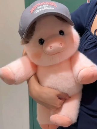 #创作灵感 谁还没收到好朋友送的跑跑小香猪呀~#爱了爱了 #这也太可爱了吧 #毛绒公仔 #呆萌可爱 @DOU+小助手 @巨量千川