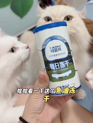 吃鱼油困难户必入的宝藏鱼油冻干,帕蓝姆家的鱼油冻干真的绝了!每一颗里面都是满满的鱼油夹心,而且添加了百分之九十八的挪威鱼油,富含欧米伽三,特别适合家里的掉毛怪。一口下去酥酥脆脆,我家猫嘎嘎炫根本停不下来!想长肉又美毛的猫咪赶紧安排上!
