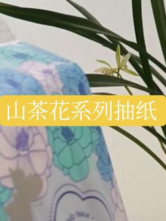 一千二百八十张,一千四百张,浪花大手指终于又升级了,他们现在升级的山茶花系列啊,加量不加价,每一把碗颜值特别的高,跟你们之前用的中一千包啊简直差太多了。虽然量比以前多了,但是质量啊,不打折扣,抽一张是一张,不连张不卡张,每一抽啊,都是这种带双面精美印花的。韧性很好,拉力也很大。荧光皮检测三个零,不含荧光剂,不宜可用干湿两用的面巾纸就要湿水看效果。打湿水干净通透没杂质,拎干水分秒变一个小湿巾擦拭我的胳膊手臂啊,不掉渣不掉絮,干湿两用。#纸巾 #纸品 #漫花抽纸推荐