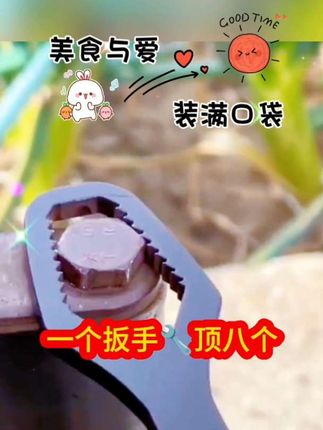 多功能梅花板手