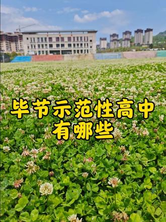 毕节初升高示范性高中怎么选 你会怎么选高中!
#初三 #初升高择校 #毕节高中录取分数线 #真实生活分享 #毕节中考志愿填报